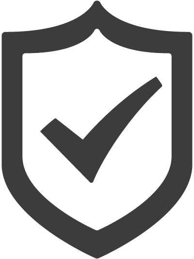 IT security icon