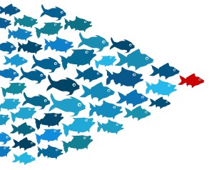 Fishes in group leadership concept